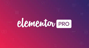 Elementor-pro